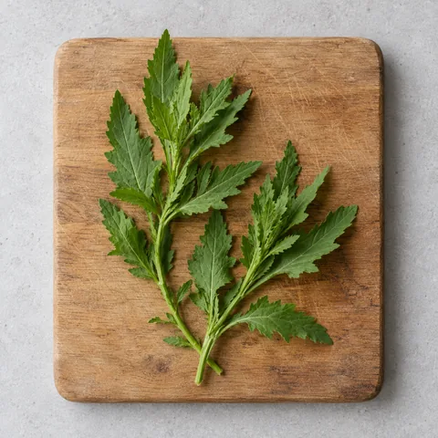 Fresh epazote sprigs on a wooden cutting board.