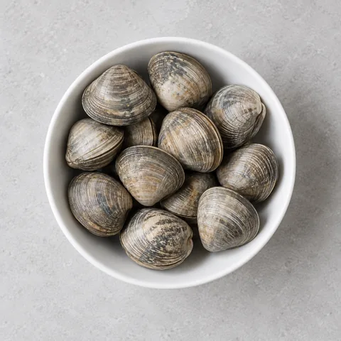 Fresh littleneck clams in the shell in a small white bowl.